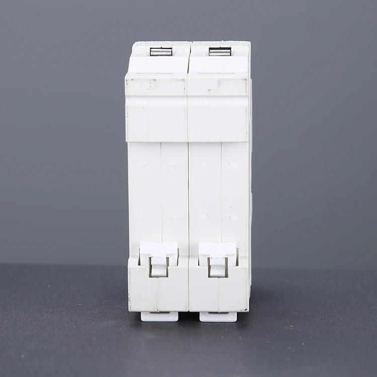 2-Pole Plastic Miniature Circuit Breaker (MCB)